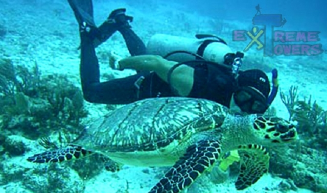 buceando con tortugas.jpg